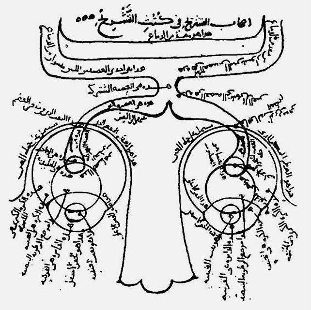 Ibn_al-Haytham_new_optics_3.jpg